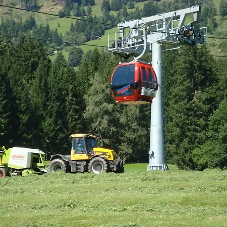 Lahnhof Pensión Hollersbach im Pinzgau
