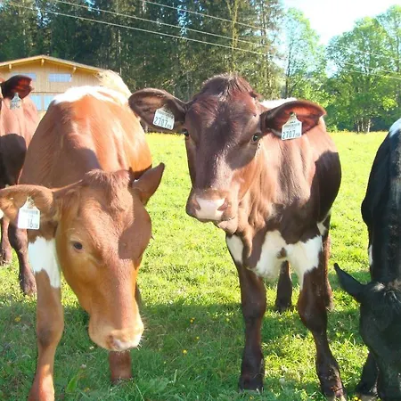 Гостевой дом Lahnhof