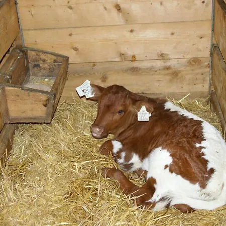 Lahnhof Pensión Hollersbach im Pinzgau