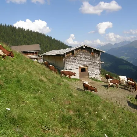 Гостевой дом Lahnhof Холлерсбах (Пинцгау)