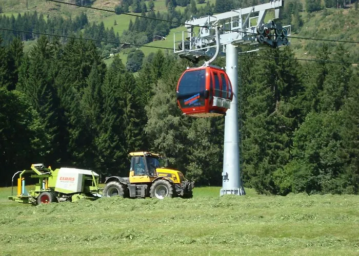 Lahnhof Casa de hóspedes Hollersbach im Pinzgau