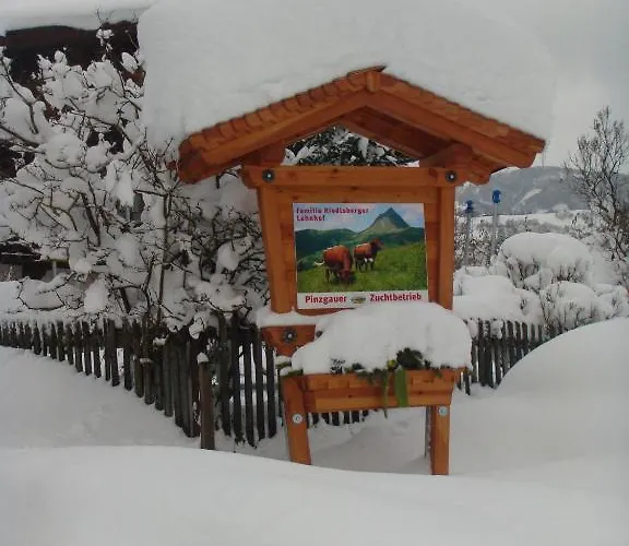 Maison d'hôtes Lahnhof Hollersbach im Pinzgau