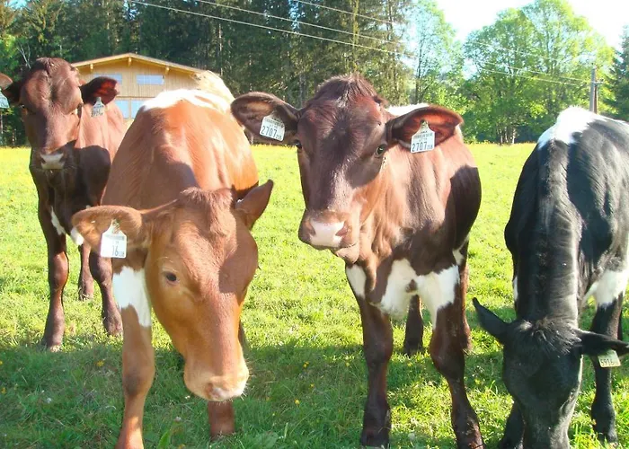 Casa de hóspedes Lahnhof